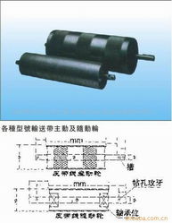 深圳市龍崗區(qū)布吉鎮(zhèn)永利自動化輸送設備配件商行 輸送設備配件的專業(yè)解決方案